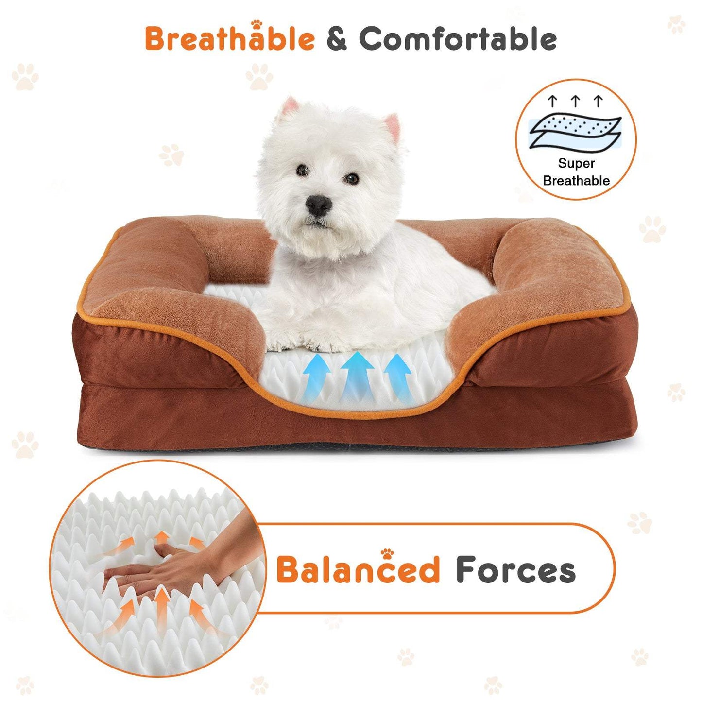 Pet Bed